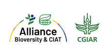 The Alliance of Bioversity and CIAT