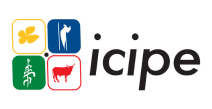 <i>icipe</i>